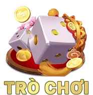 Biểu tượng mã hóa dữ liệu